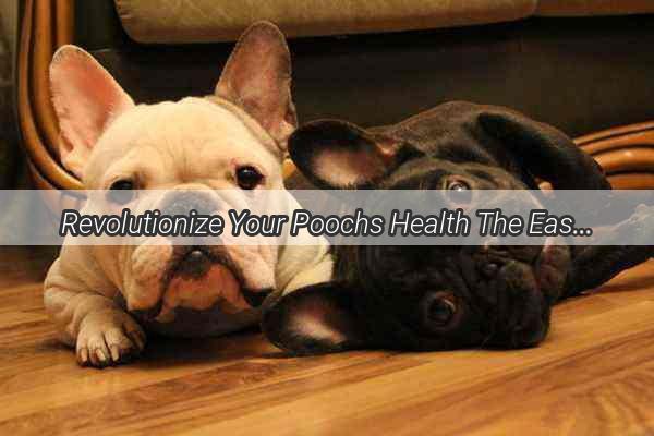 Revolutionize Your Poochs Health The Easy Guide to Using CoughTing Spray for Dogs